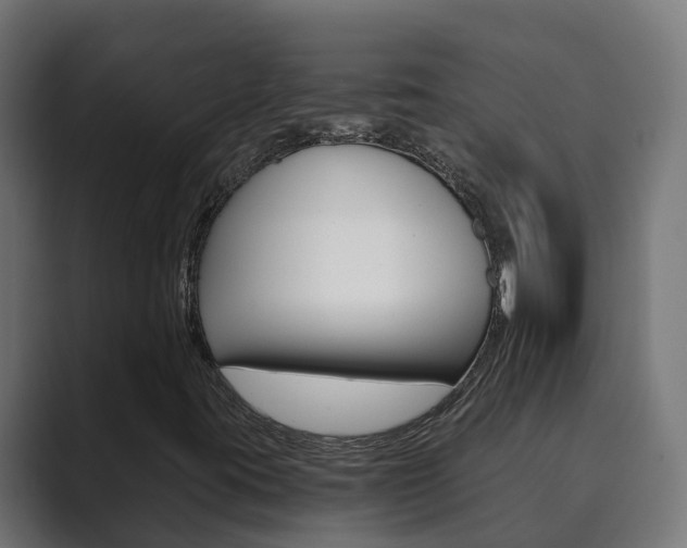 X0000089891395200706281101