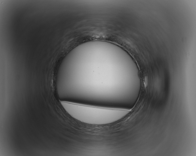 X0000089891396200706281101
