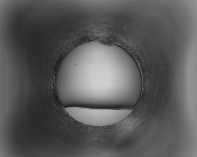 X0000089891397200706281101