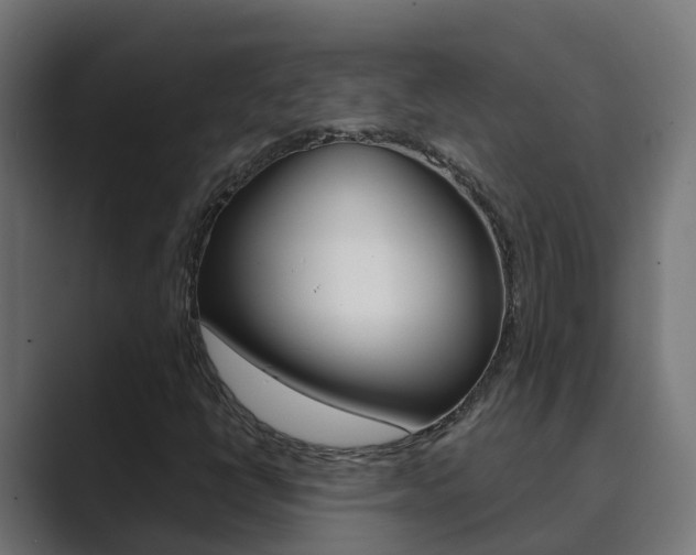 X0000089891398200706281101
