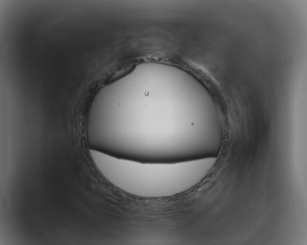 X0000089891399200706281101