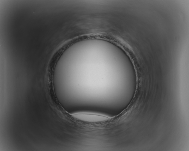 X0000089891400200706281101