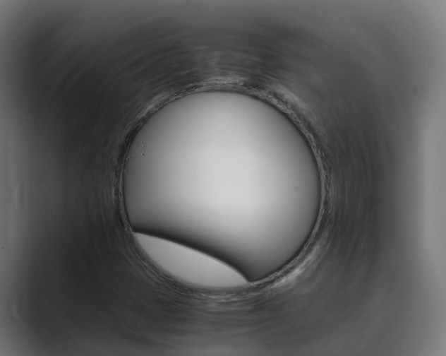 X0000089891401200706281101