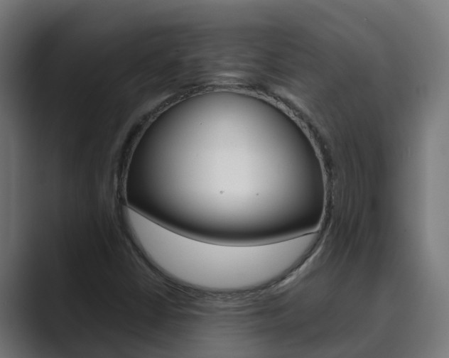 X0000089891402200706281101
