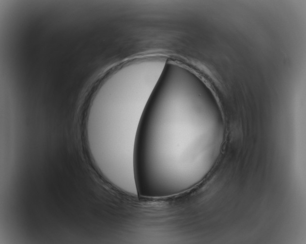 X0000089891406200706281101