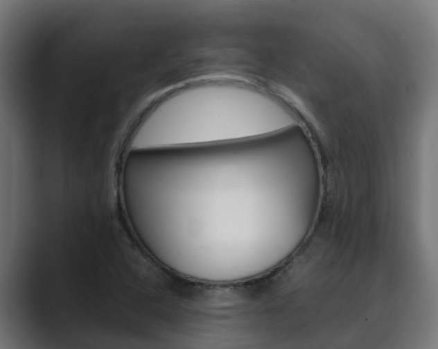 X0000089891408200706281101