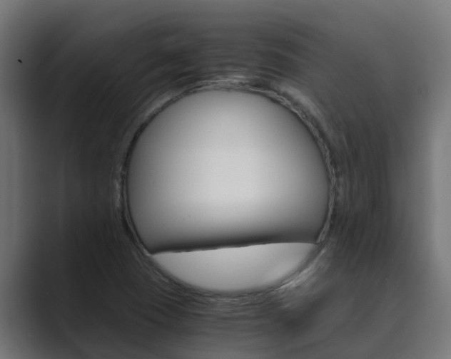X0000089891409200706281101