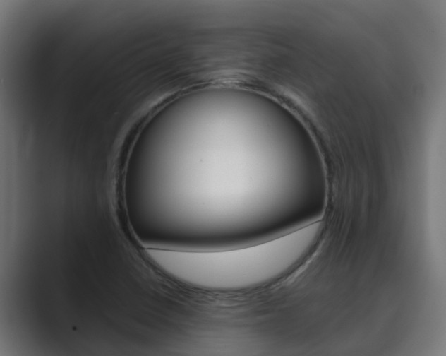 X0000089891410200706281101