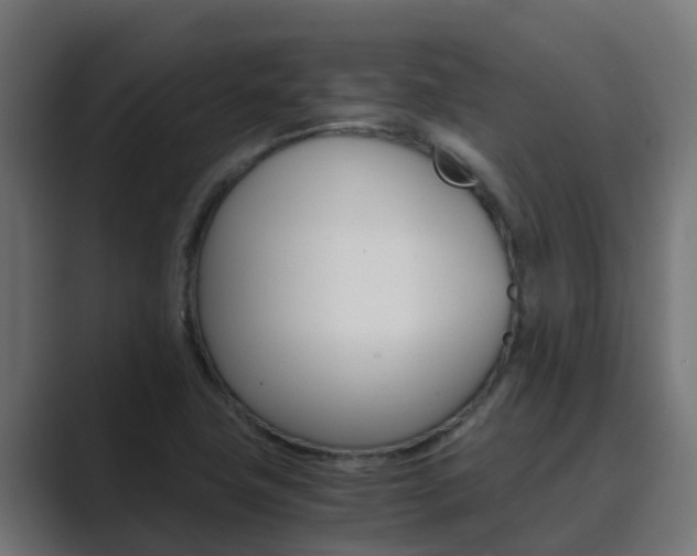 X0000089891411200706281101