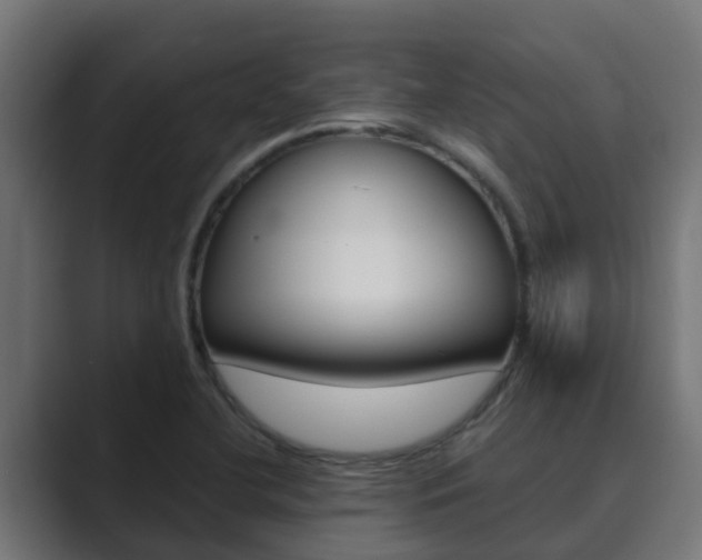 X0000089891412200706281101