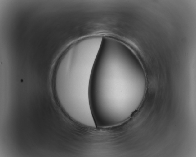 X0000089891414200706281101
