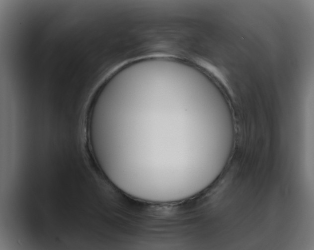 X0000089891415200706281101