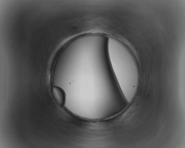 X0000089891416200706281101