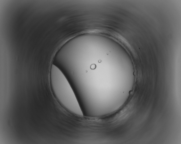 X0000089891417200706281101