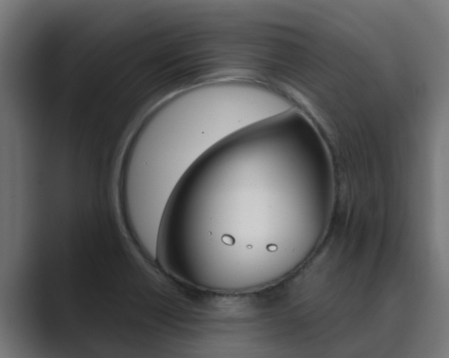 X0000089891418200706281101