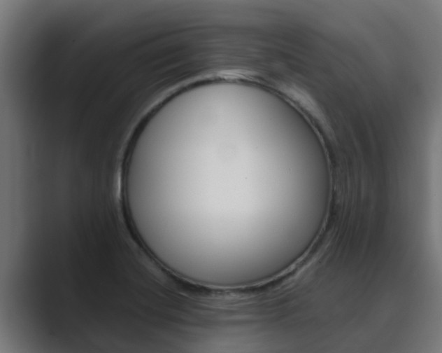 X0000089891420200706281101
