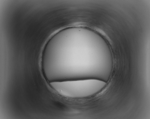 X0000089891421200706281101