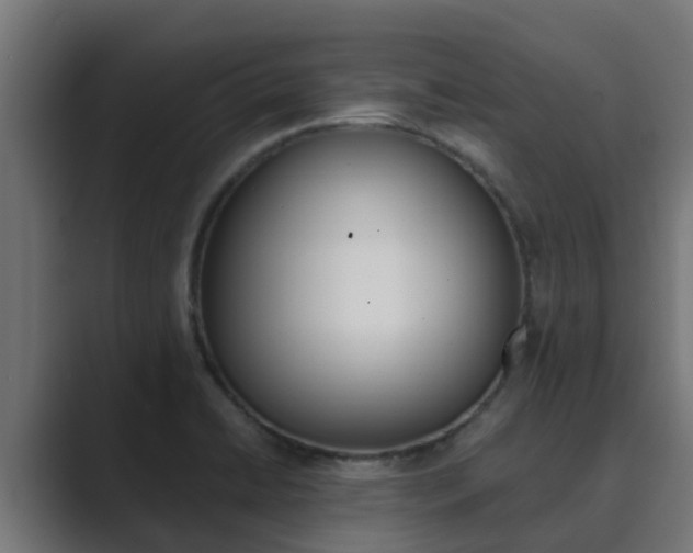 X0000089891422200706281101