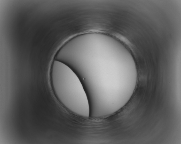 X0000089891423200706281101