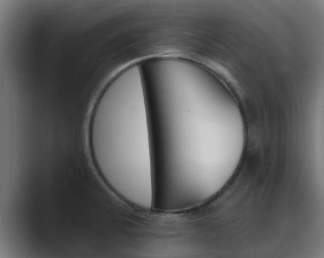 X0000089891424200706281101