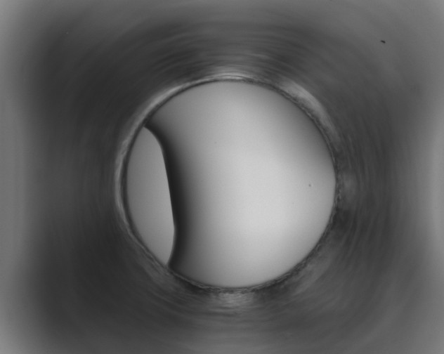 X0000089891427200706281101