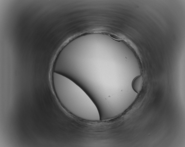 X0000089891429200706281101
