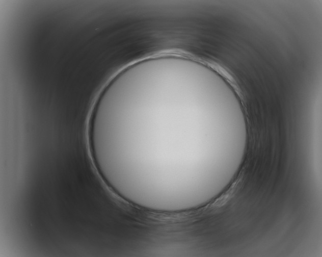X0000089891430200706281101