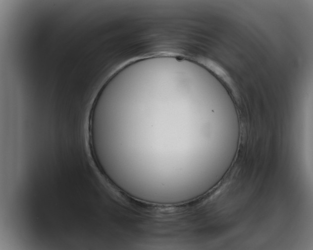 X0000089891431200706281101