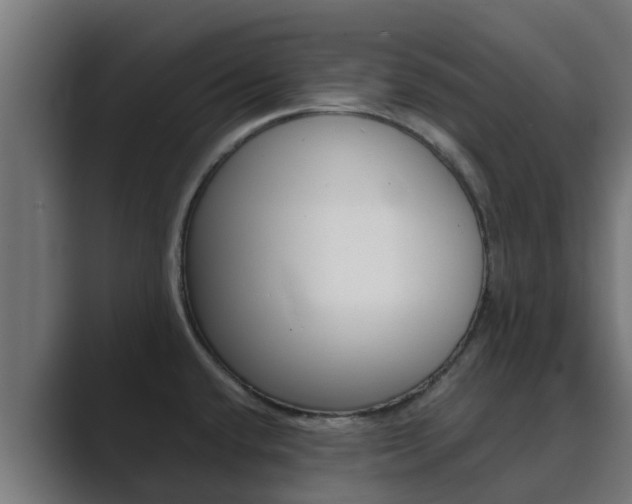 X0000089891432200706281101