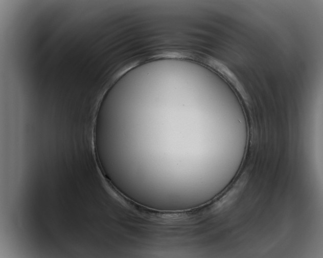 X0000089891433200706281101