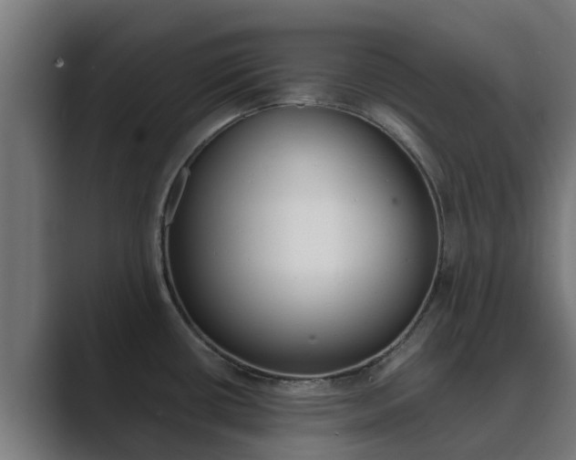 X0000089891434200706281101