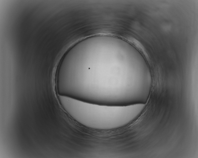 X0000089891435200706281102