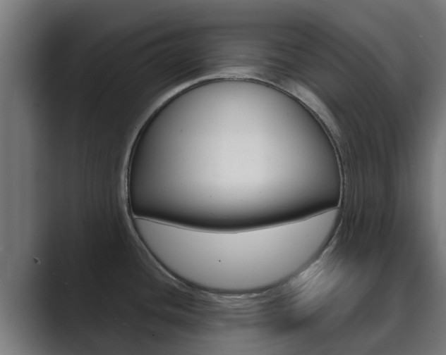 X0000089891436200706281102