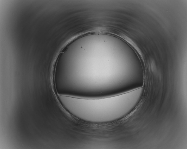 X0000089891437200706281102