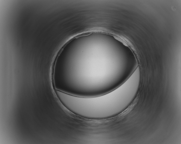 X0000089891438200706281102