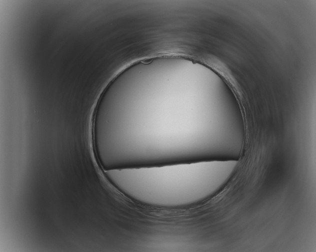 X0000089891439200706281102