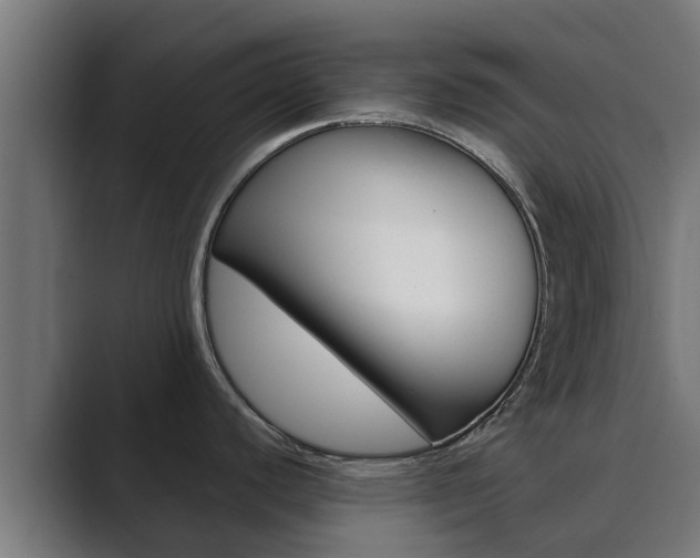 X0000089891440200706281102