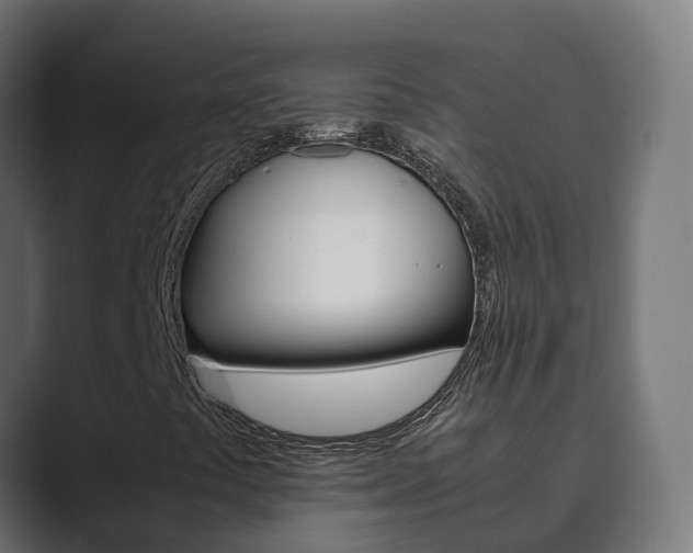 X0000089891441200706281101