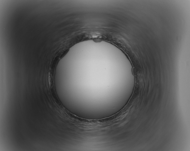 X0000089891442200706281101