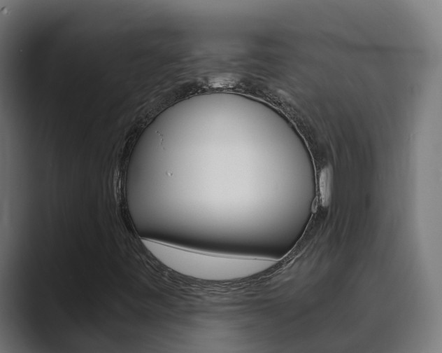 X0000089891443200706281101