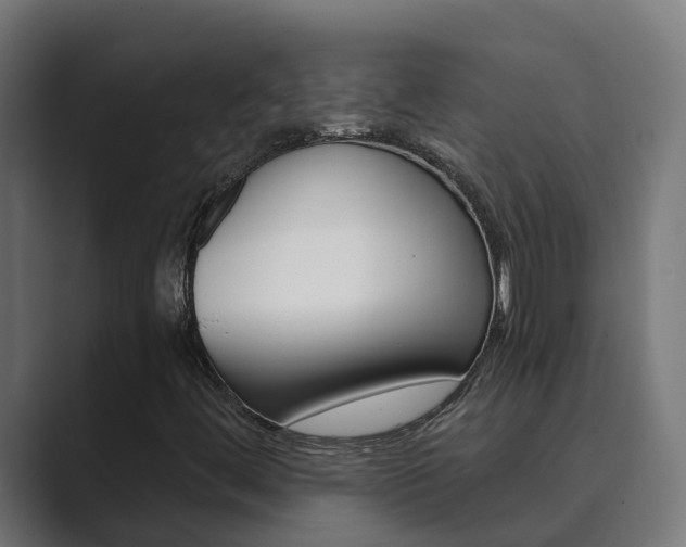 X0000089891444200706281101