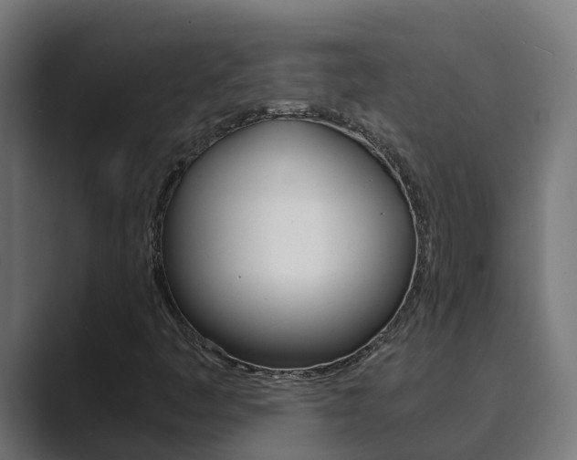 X0000089891445200706281101