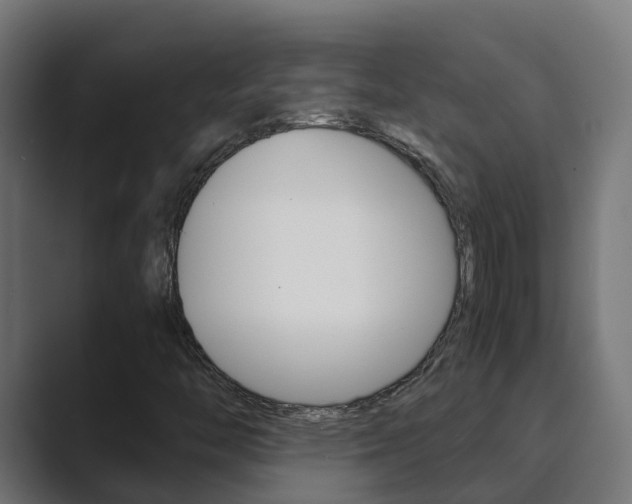 X0000089891446200706281101