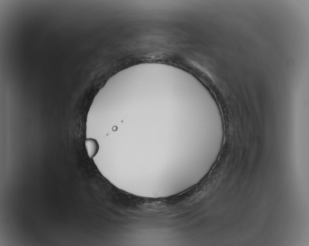 X0000089891447200706281101