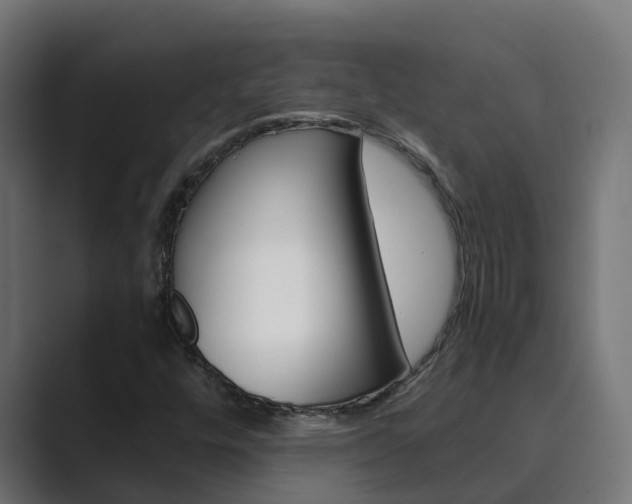 X0000089891448200706281101