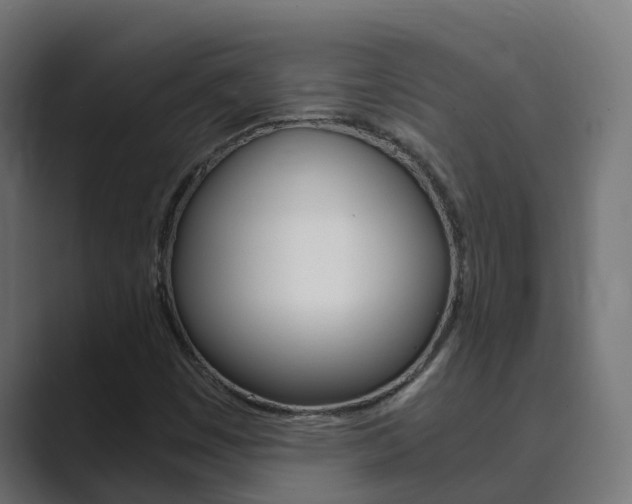 X0000089891449200706281101