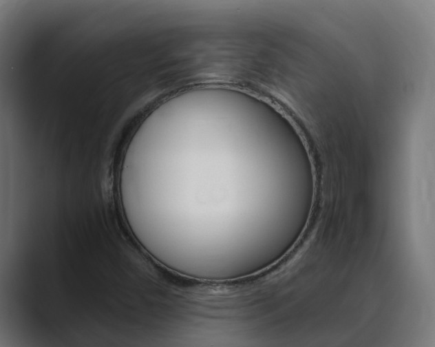 X0000089891450200706281101
