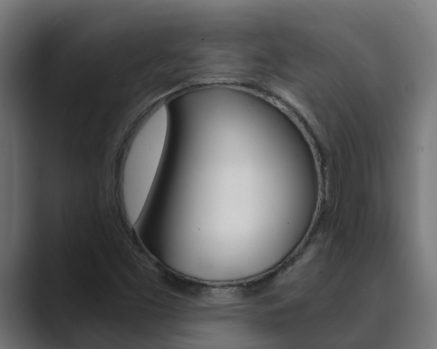 X0000089891453200706281101