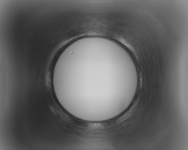 X0000089891454200706281101