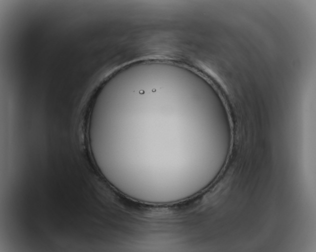 X0000089891455200706281101